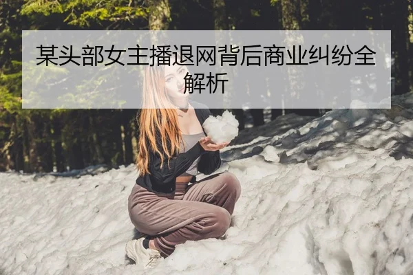 mou-tou-bu-nv-zhu-bo-tui-wang-bei-hou-shang-ye-jiu-fen-quan-jie-xi-1-116.jpg