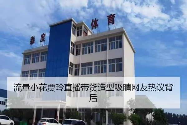 流量小花贾玲直播带货造型吸睛网友热议背后